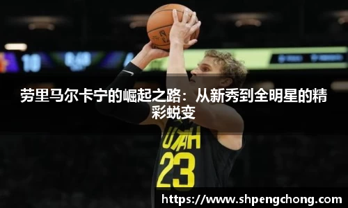 劳里马尔卡宁的崛起之路：从新秀到全明星的精彩蜕变